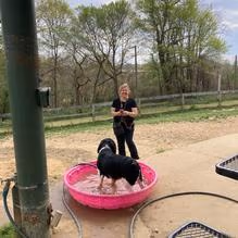 Church Hill Dog Park photo 1